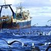 Изменения в нормативах рыболовной деятельности