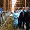 Власти Волгоградской области предоставляют особые условия начинающим фермерам