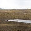 Пятая часть всех угодий сельскохозяйственного назначения Хабаровского края оказалась подтопленной